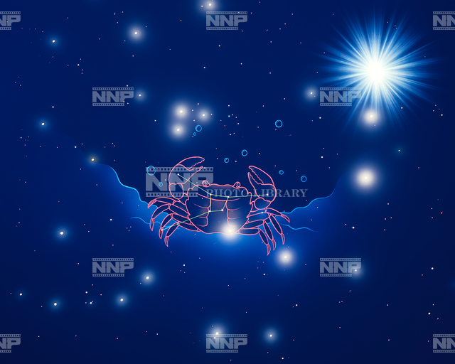 かに座 / ≪写真素材・ストックフォト≫ NNP PHOTO LIBRARY