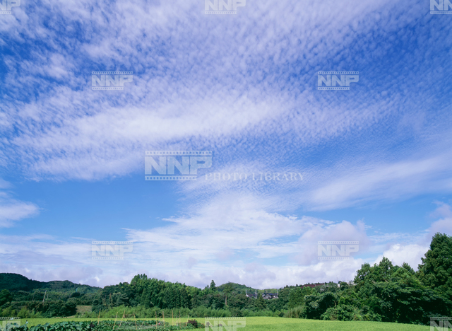 巻積雲 / ≪写真素材・ストックフォト≫ NNP PHOTO LIBRARY