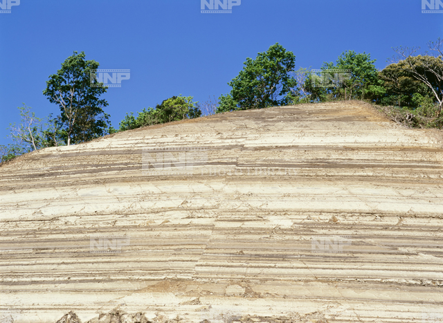 砂岩 泥岩 火山灰からなる地層 写真素材 ストックフォト Nnp Photo Library