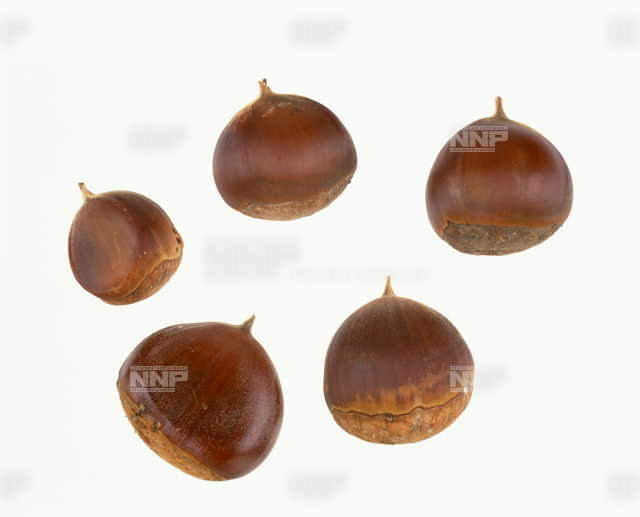 クリ