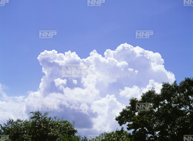 入道雲 / ≪写真素材・ストックフォト≫ NNP PHOTO LIBRARY