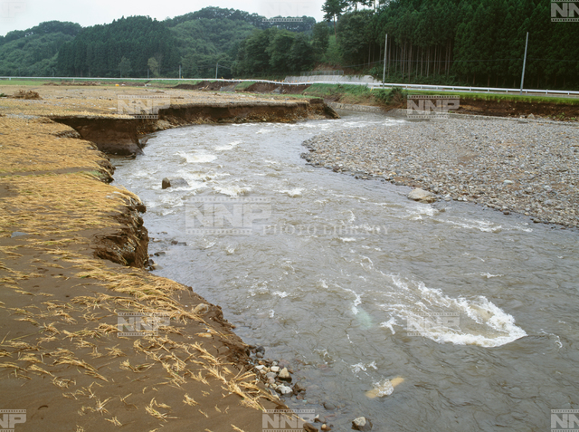 川岸