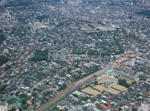 田園調布 / ≪写真素材・ストックフォト≫ NNP PHOTO LIBRARY