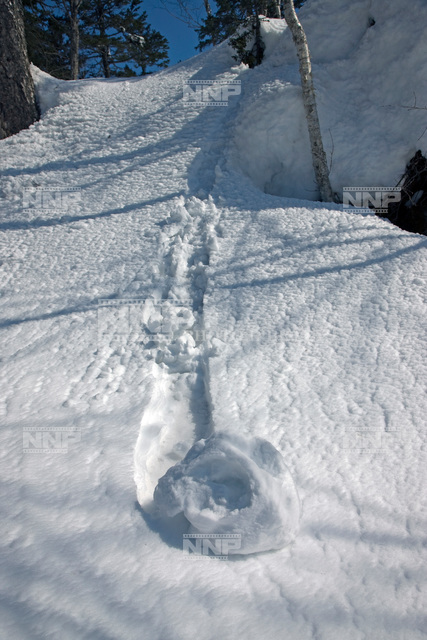 雪まくり / ≪写真素材・ストックフォト≫ NNP PHOTO LIBRARY