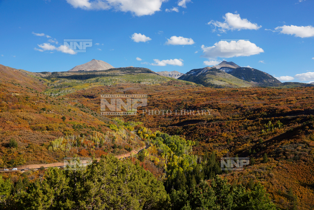 アスペン / ≪写真素材・ストックフォト≫ NNP PHOTO LIBRARY