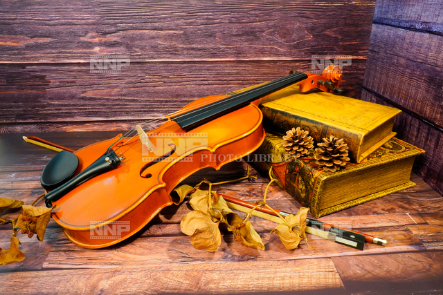 アンティークなバイオリン