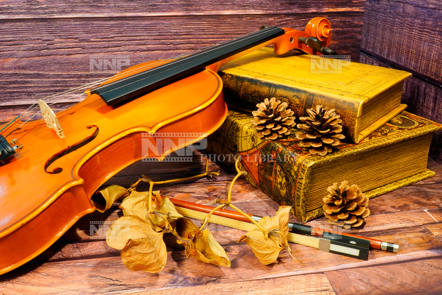 アンティークなバイオリン
