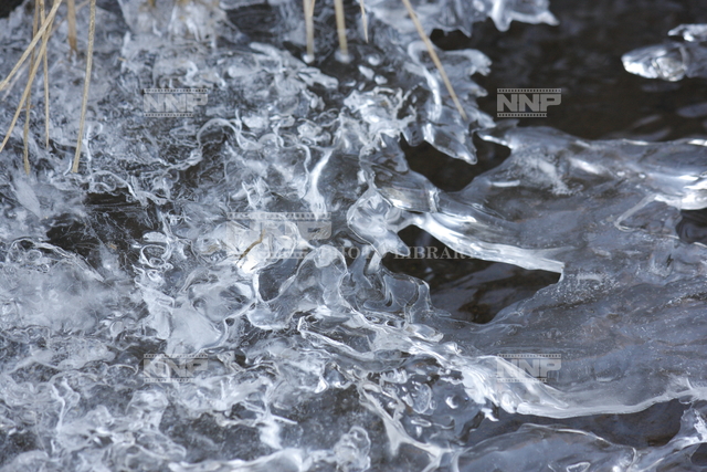 池の氷結晶 写真素材 ストックフォト Nnp Photo Library