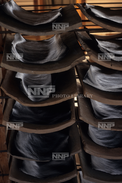 川茸 かわたけ 写真素材 ストックフォト Nnp Photo Library