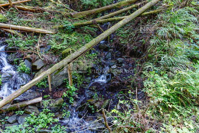 秋山川の源流