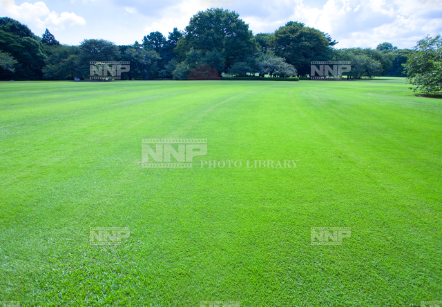 新宿御苑のイギリス風景式庭園 写真素材 ストックフォト Nnp Photo Library