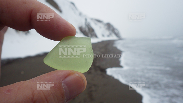 ウランガラスのかけら(シーグラス) / ≪写真素材・ストックフォト≫ NNP PHOTO LIBRARY