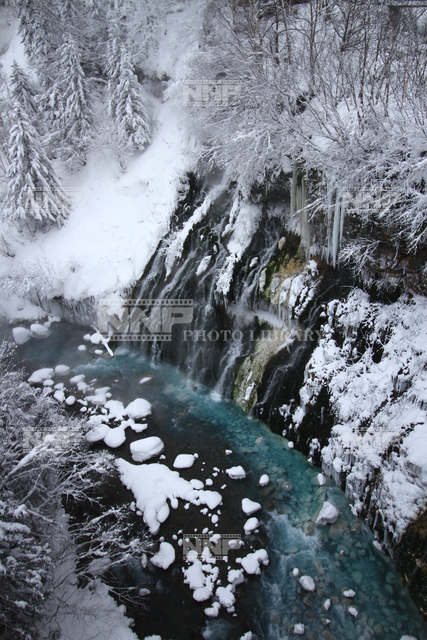 青い川 白ひげの滝 写真素材 ストックフォト Nnp Photo Library