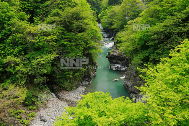 荒川