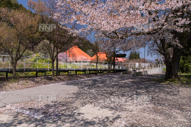 飯山線蓮駅 / ≪写真素材・ストックフォト≫ NNP PHOTO LIBRARY