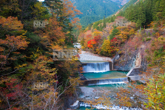 付知峡 / ≪写真素材・ストックフォト≫ NNP PHOTO LIBRARY