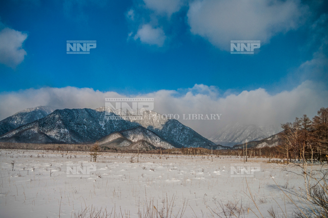 雪景色 戦場ヶ原 写真素材 ストックフォト Nnp Photo Library