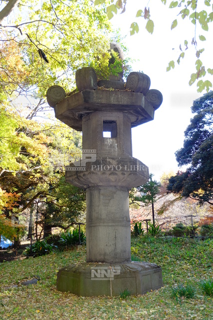 お化け灯籠 / ≪写真素材・ストックフォト≫ NNP PHOTO LIBRARY