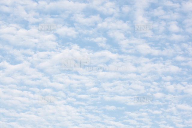 巻積雲 / ≪写真素材・ストックフォト≫ NNP PHOTO LIBRARY