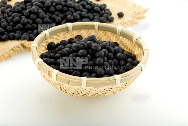 黒豆（クロマメ） / ≪写真素材・ストックフォト≫ NNP PHOTO LIBRARY