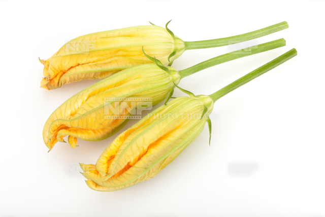 花ズッキーニ 雄花 写真素材 ストックフォト Nnp Photo Library