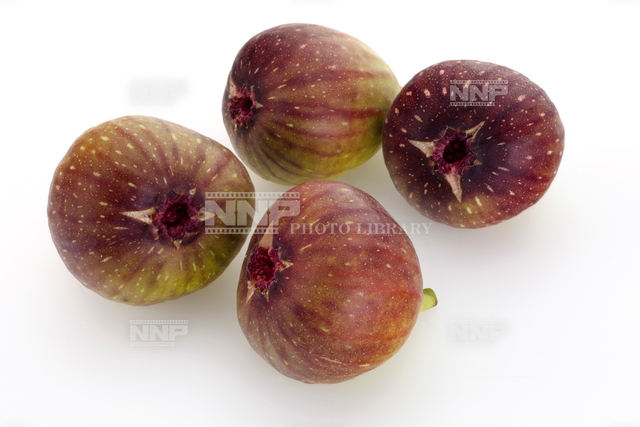 イチジク（無花果）