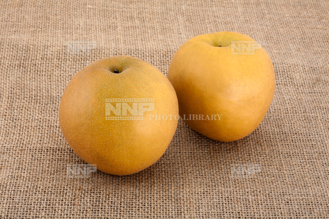 日本梨シンコウ（無袋栽培）