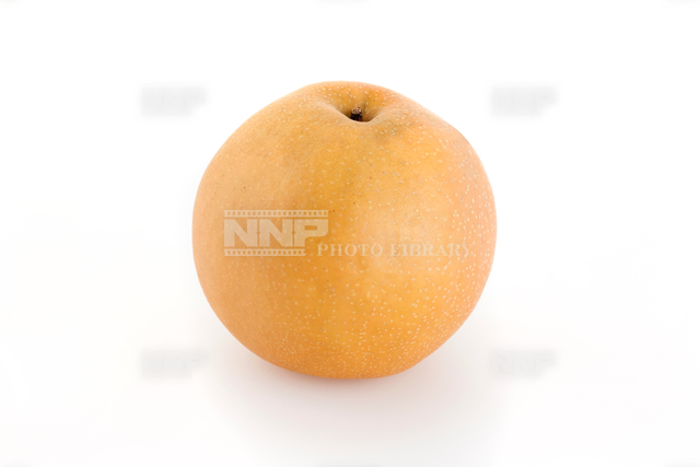 日本梨シンコウ（無袋栽培）