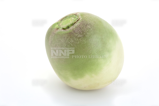 コウシンダイコン（紅芯大根）