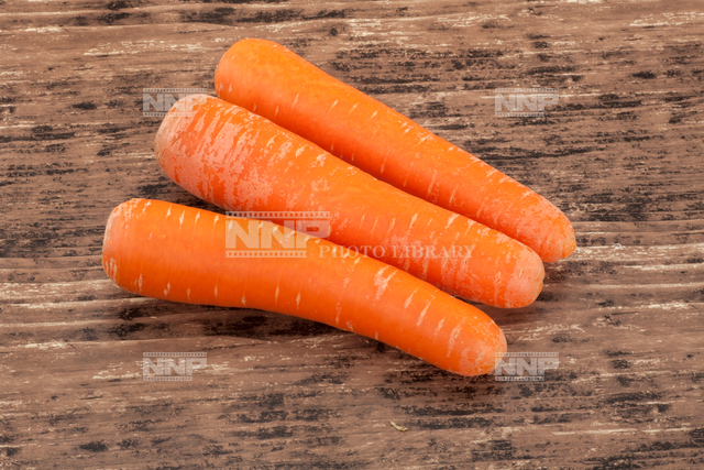 ニンジン（アロマレッド）