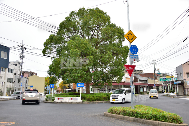 ロータリー交差点 / ≪写真素材・ストックフォト≫ NNP PHOTO LIBRARY