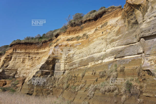 ローム層 (ロームそう) JapaneseEnglish Dictionary JapaneseClass.jp