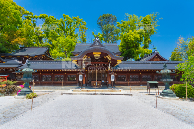 今宮神社 本社 / ≪写真素材・ストックフォト≫ NNP PHOTO LIBRARY