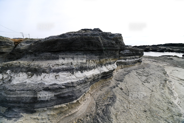 城ヶ島の火炎構造