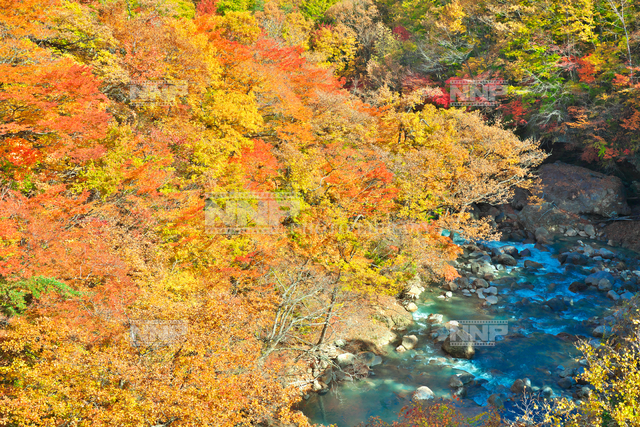 岩手県 晩秋の八幡平 松川渓谷 森の大橋より望む 写真素材 ストックフォト Nnp Photo Library