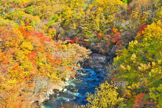 岩手県 晩秋の八幡平 松川渓谷 森の大橋より望む 写真素材 ストックフォト Nnp Photo Library