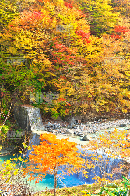 岩手県 晩秋の八幡平 松川渓谷 写真素材 ストックフォト Nnp Photo Library