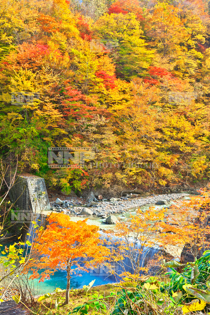 岩手県 晩秋の八幡平 松川渓谷 写真素材 ストックフォト Nnp Photo Library