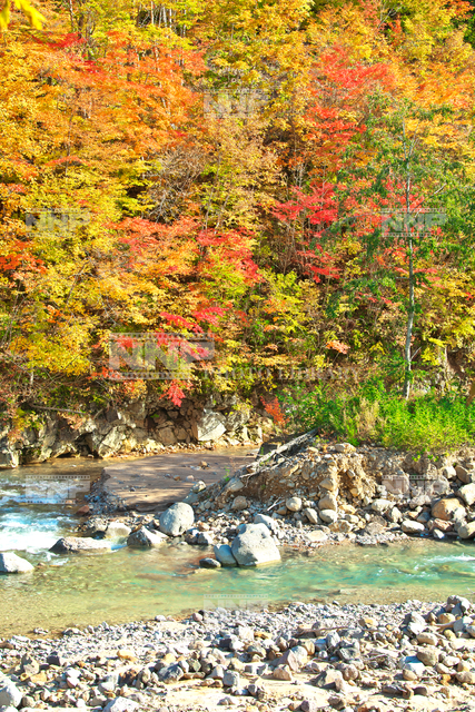 岩手県 晩秋の八幡平 松川渓谷 写真素材 ストックフォト Nnp Photo Library
