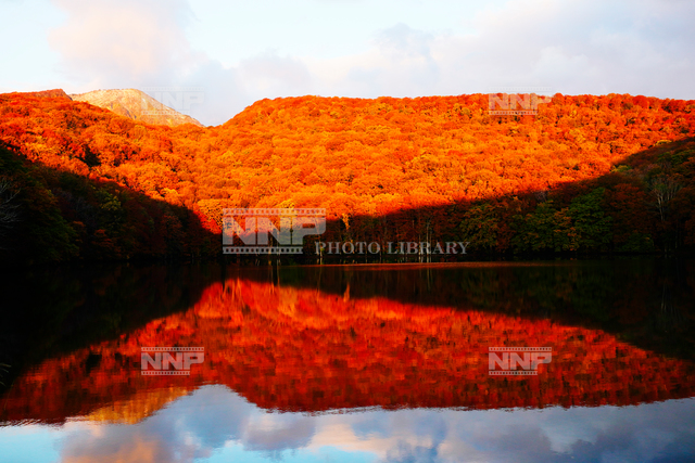紅葉の蔦沼