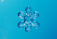 雪の結晶