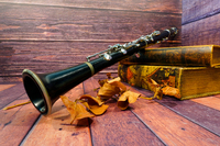 クラリネットと古書