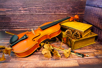アンティークなバイオリン