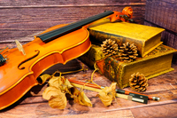 アンティークなバイオリン