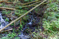 秋山川の源流