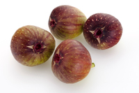 イチジク（無花果）