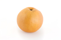 日本梨シンコウ（無袋栽培）