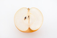 日本梨シンコウ（無袋栽培）