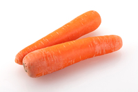 ニンジン（アロマレッド）