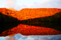 紅葉の蔦沼